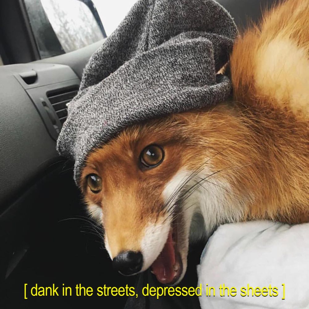 Meet your Posher, Michaela